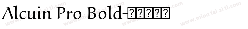 Alcuin Pro Bold字体转换